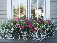 a window box filled with pink and white flowers