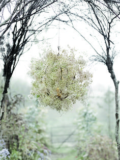 an outdoor area with trees and flowers in the foreground, on which is a hanging ornament