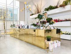 a room filled with lots of plants and flowers on display in front of large windows