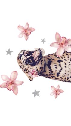 a leopard laying on its back with pink flowers in the air and stars around it