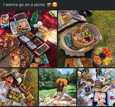 there are many different pictures of food on the table and in front of them is a picnic