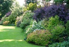 a lush green lawn surrounded by lots of trees and bushes with purple flowers in the middle