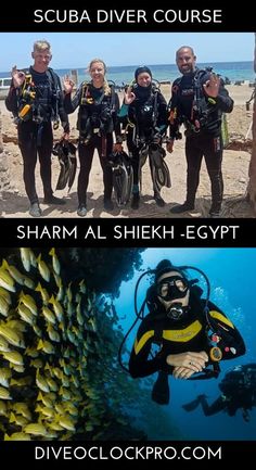 scuba divers posing in front of a large group of fish on the bottom right and bottom