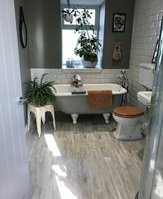 a bathroom with a tub, toilet and plant on the counter in front of it