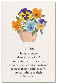 pansies are so much more than a pretty face for centuries, pansies have been przed in mental medicine because their health benefits are as infinite as their color variety