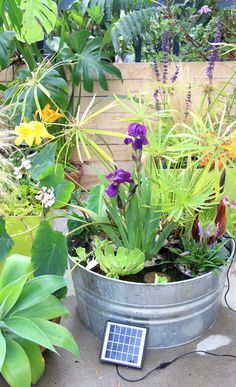 a potted plant with flowers and a solar panel on the ground next to it