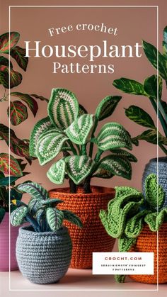 three crocheted houseplant pots with plants in them and the text overlay reads free crochet houseplant patterns