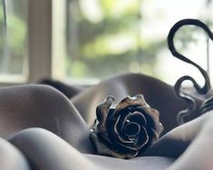 a rose sitting on top of a bed next to a window