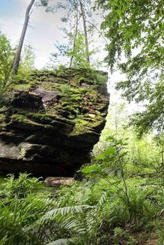 a rocky outcropping in the woods with lots of green plants and trees