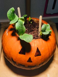 a pumpkin shaped planter sitting on top of a wooden box filled with dirt and leaves