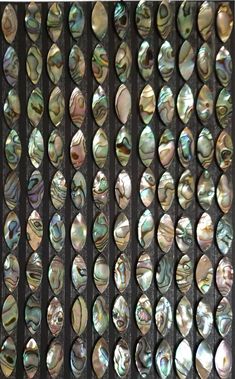 abaca shells are arranged in rows on a grill