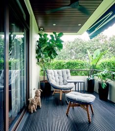 a dog is sitting on the porch next to a chair and footstool with a potted plant