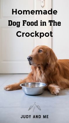 Homemade Dog Food in the Crockpot Dog Homemade, Human Grade Dog Food, Love At First Bite, Food Making