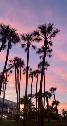 palm trees are silhouetted against a pink and blue sky at sunset in front of a building