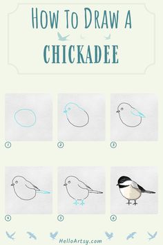 6 steps demonstrating how to draw a how to draw chickadee for kids. Chickadee Drawing, Bird Drawing For Kids, Simple Bird Drawing, Chickadee Art, Easy Christmas Drawings, Winter Art Projects, Drawing Lesson, Doodle Art Journals, Painted Rocks Kids