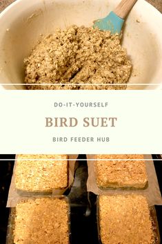 bird suet in a bowl with the words do - it - yourself bird suet