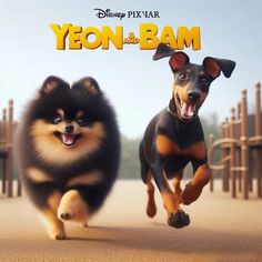 two dogs running in front of a playground with the words yeon and bam on it