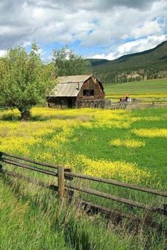 an old barn in the middle of a field with wildflowers and mountains behind it