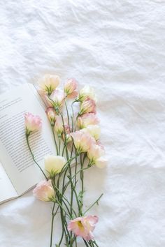 an open book and some flowers on a white sheet with the pages still intact from reading