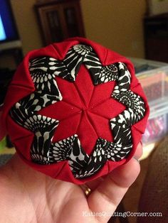 a hand holding a red and black flower