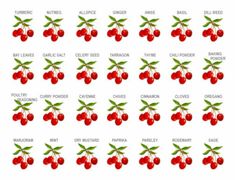 an image of cherries on a white background with the names of each berry in red