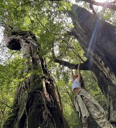 a person reaching up into the air near a tree