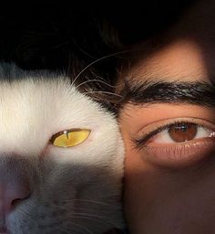 a close up of a person's face and a cat's eye with yellow eyes