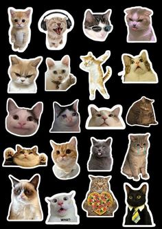 many different cats stickers on a black background