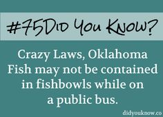 the words crazy laws, oklahoma fish may not be contained in fireworks while on a public bus