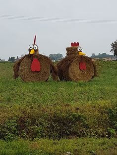 two hay chickens sitting on top of a lush green field