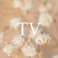 some white flowers with the word tv on it's bottom right corner and an overlayed background