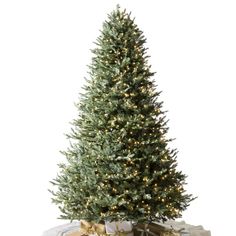 a small christmas tree with lights and presents under it on a white background, surrounded by gifts