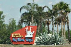 the welcome sign to mca allen texas in front of some palm trees and other plants