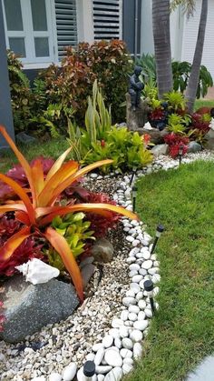 there is a garden with rocks and plants in the front yard, along with other landscaping items