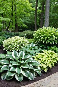 some very pretty plants in the middle of a garden area with trees and bushes behind them