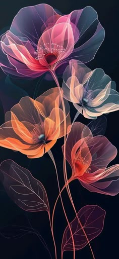 three colorful flowers on a black background with some pink and orange petals in the middle