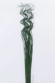 a tall glass vase filled with green grass