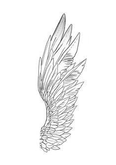 a drawing of an angel wing on a white background