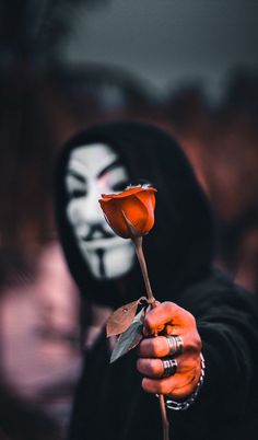 a person wearing a mask holding a rose