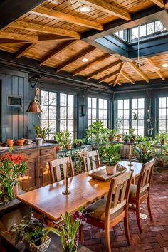 an image of a dining room with plants on the table and windows in the background