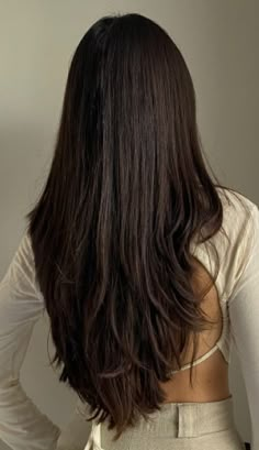 Long brown hair, long hair, brown hair, thick hair, straight hair, hair with layers, hair goals, long hairstyles, long hair, long straight hair Thick Straight Hair With Layers, Haircut 2024, Hair Trim