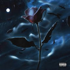 a rose with birds flying around it in the night sky