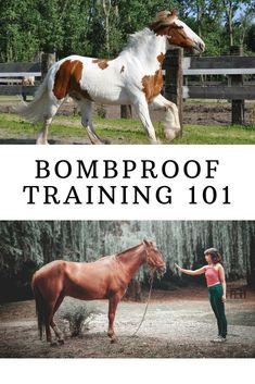 a woman leading a brown and white horse with the caption bombproof training 101