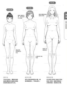 Anatomy Reference Body Types, Stretch Pose Reference Drawing, Body Chart Female, Body Proportions Drawing Pose Reference, Female Waist Reference, Torso Sketch Female, Women Anatomy Drawing Pose Reference, Manga Art Ideas, Anatomy Drawing Girl