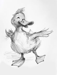 a pencil drawing of a duck on a white background