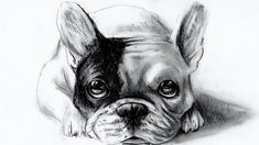 a black and white drawing of a dog