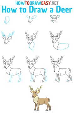 how to draw a deer for kids and beginners with easy step - by - step instructions