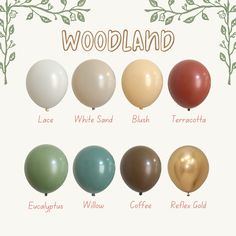 there are many different balloons in the picture, including one that says woodland and four which say white sand, tan, terracottta, coffee, red, green,