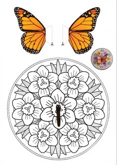 a butterfly and flower coloring page with butterflies on the top, one is orange and the other is white