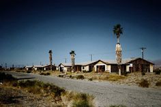 an empty street with palm trees in the middle and houses on both sides, along with no cars